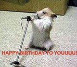 funny-animal-hamster-singer-Favim.com-509509.jpg (70.34 KiB) 1828 mal betrachtet Happy birthday!