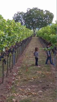 WP_20160917_002.jpg (458.32 KiB) 4039 mal betrachtet Konfrontation der nächsten Generation mit den wirklich wichtigen Themen.