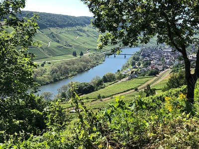 Am letzten Tag wollten wir den den Aussichtspunkt Prinzenkopfturm besuchen, aber vom Parkplatz war es noch 3 km zu laufen, und die Zeit hatten wir nicht - müssten Richtung Flughafen fahren. Aber auch vom Parkplatz ein schöner Fernblick.