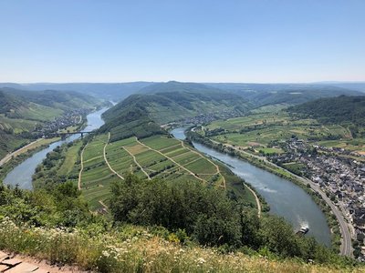 Oberhalb von Bremm - vom Wanderparkplatz geht es ca. 1 km zu Fuss zum Aussichtspunkt über die berühmte Bremmer-Schleife. Der Hang neigt definitiv über 45 Grad.