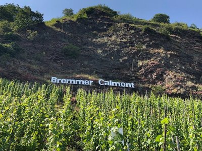 Bremmer Calmont, die steilste Weinlage Europas.