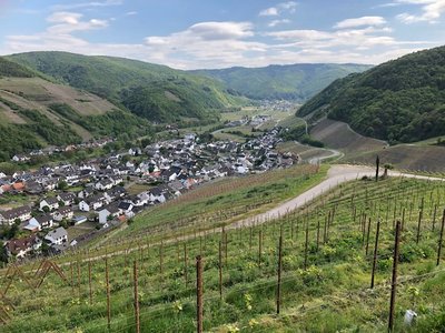 Vom Aussichtspunkt oberhalb Dernau - Blick richtung das innere Ahrtal.