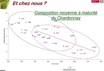 Zucker- und Säureinhalt Burgund Chardonnay 1987 bis 2009.JPG