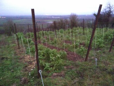 IMG_20210106_170022.jpg (4.39 MiB) 2745 mal betrachtet IMG_20210106_170022.jpg