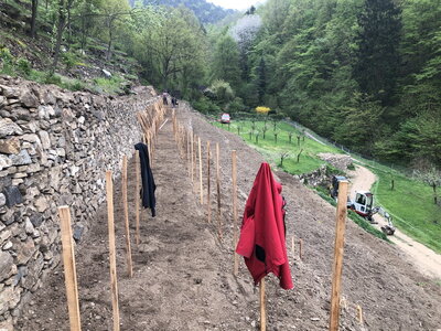 2021-2.JPG (309.1 KiB) 4178 mal betrachtet April 2021