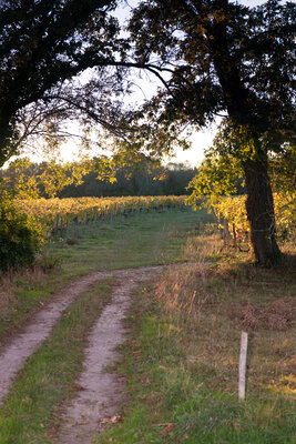 211023-1165_Enclos-28.JPG (1.8 MiB) 1642 mal betrachtet Der Enclos in der Abendsonne gestern