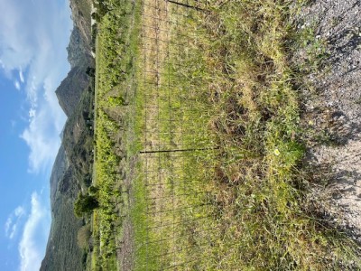 IMG_2193.jpg (234.7 KiB) 3156 mal betrachtet IMG_2193.jpg