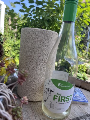 Reinisch FIRST Kopie.jpg