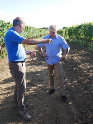 Lisini Baldi  Kopie.jpg