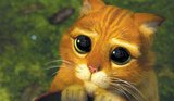 Gestiefelter_Kater_Shrek2-1413.jpg