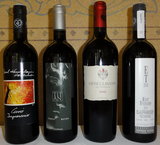 DSC02100 - Kopie.jpg