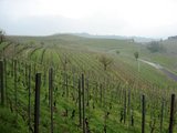 Piemont 2010 164.JPG