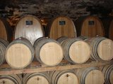 Weinreise Trentino 09 011.JPG